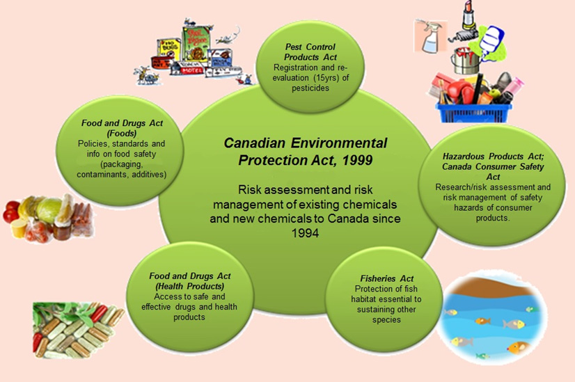 Figure 1 - Canadian Environmental  Protection Act, 1999