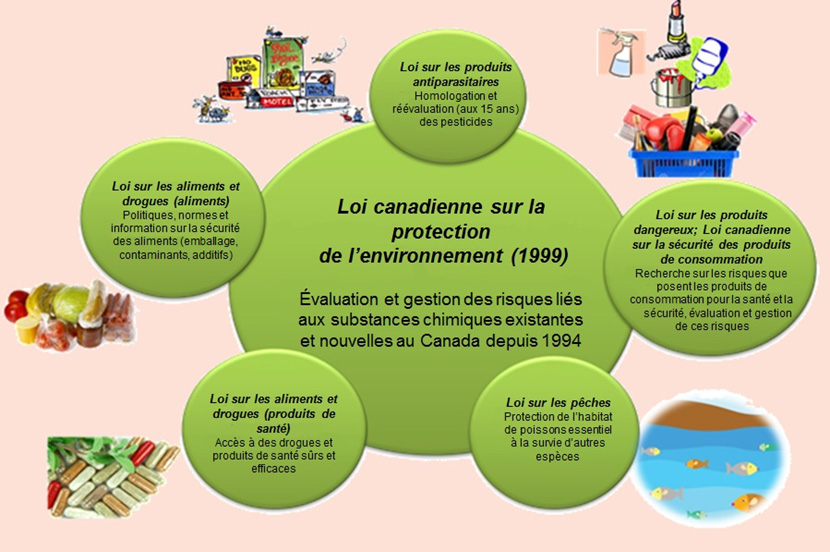 Figure 1 - Loi canadienne sur la protection de l’environnement (1999)