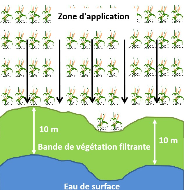 Figure C. La version textuelle suit.