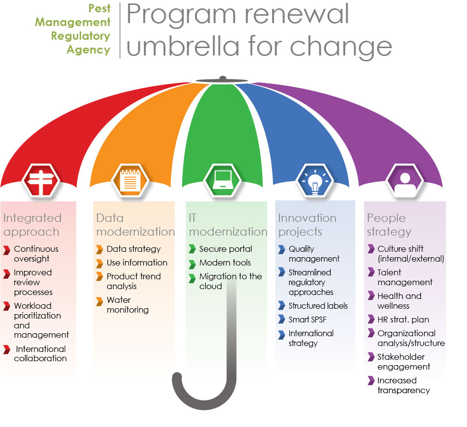 Figure 4. Program-wide strategies under the umbrella for change