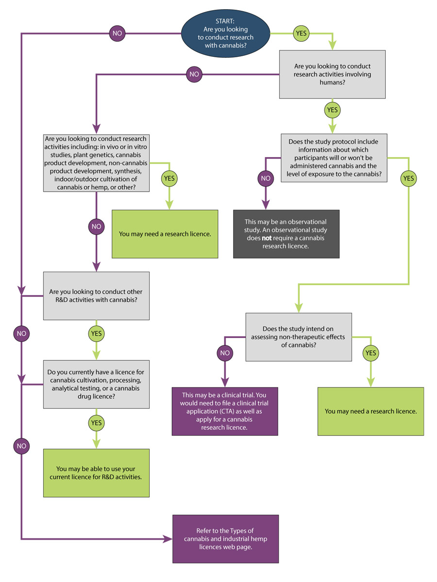 Figure 1. Decision tree for conducting research with cannabis