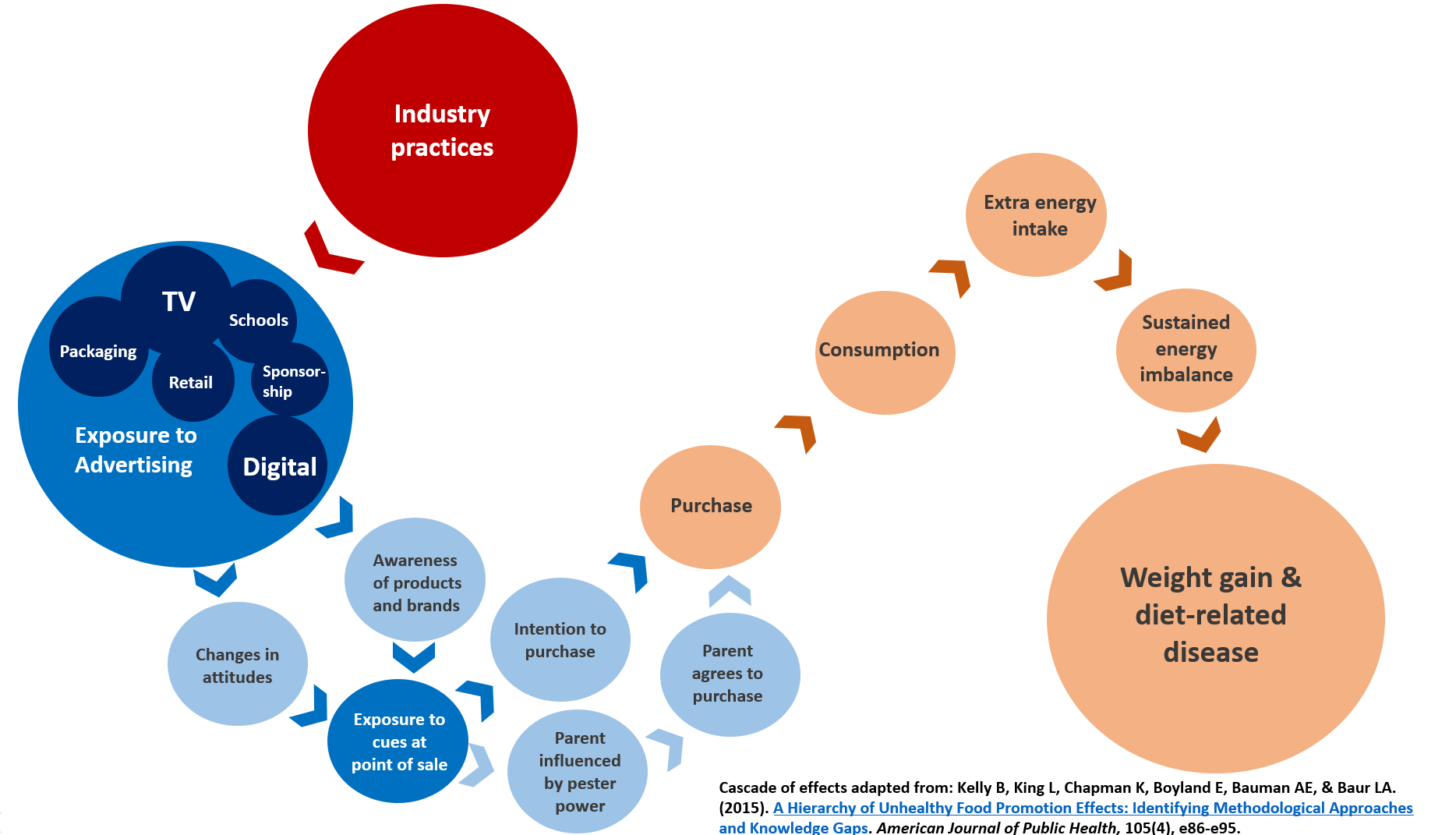 Figure 1. The cascade of effects of food advertising to children