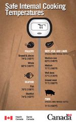 Meat Temperature Chart Celsius