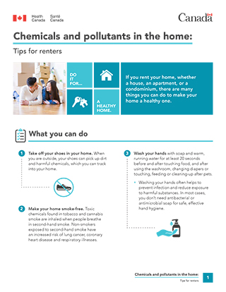 Chemical and pollutants in the home: Tips for renters
