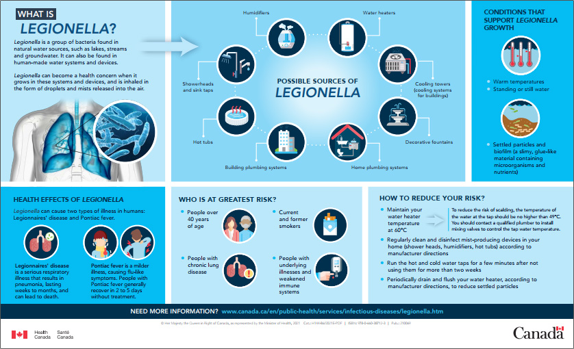 Infographic: What is Legionella