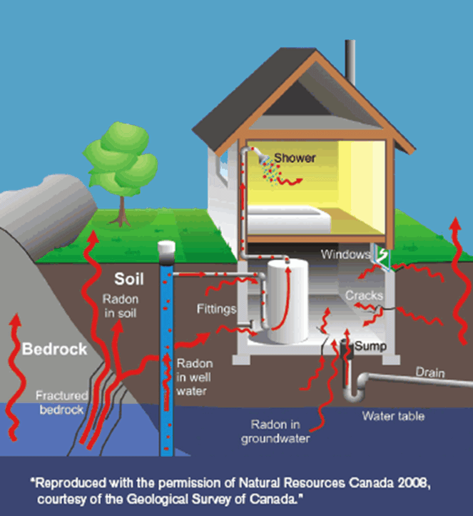 How To Test For Radon In Basement Openbasement