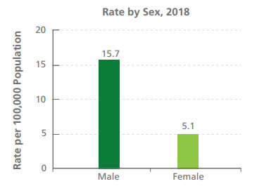 Comparison: Suicide Mortality Rate by Sex
