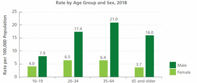 Comparison: Suicide Mortality Rate by Age Group and Sex