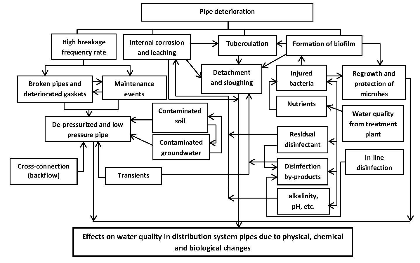 Figure 4. Factors contributing to deterioration of water quality in the drinking water distribution system