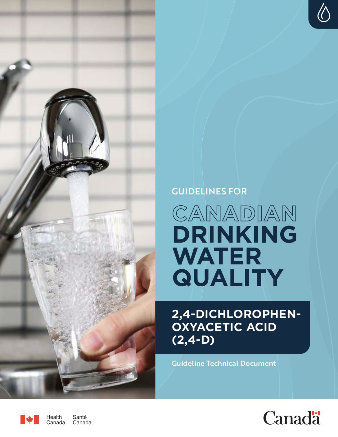 Guidelines for Canadian Drinking Water Quality: Guideline Technical Document – 2,4–Dichlorophenoxyacetic Acid