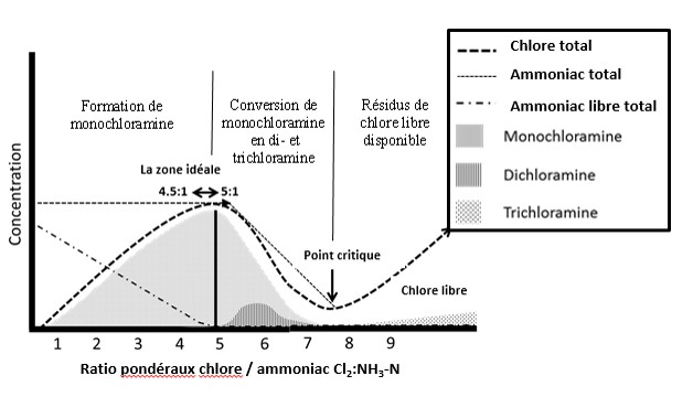 Figure 1 : Courbe idéale du point critique de chloration (modélisée d'après Griffin et Chamberlin, 1941; Spon, 2008; et Randtke, 2010). Au début, la monochloramine se forme jusqu'à ce que le rapport pondéral Cl<sub>2</sub>:NH<sub>3</sub>-N dépasse 5:1. La formation diminue par la suite. C'est alors que la dichloramine se forme. Une fois que le rapport pondéral Cl<sub>2</sub>:NH<sub>3</sub>-N est suffisamment élevé, la chloration au point critique se produit et la courbe du point critique est caractérisée par la forme « en dos d'âne ». Équivalent textuel ci-dessous.