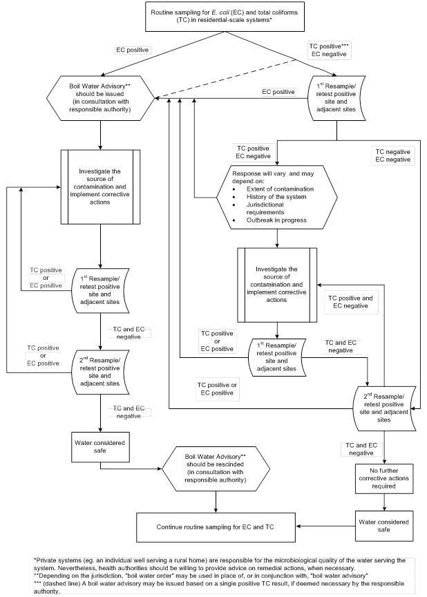 A decision tree for determining the recommended actions for responding to E. coli and total coliform positive samples, collected during routine monitoring of semi-public systems