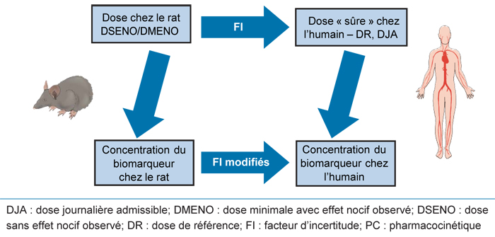 Figure 2. La version textuelle suit.