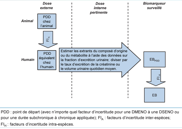 Figure 3. La version textuelle suit.