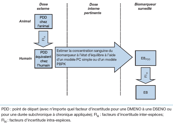 Figure 4. La version textuelle suit.
