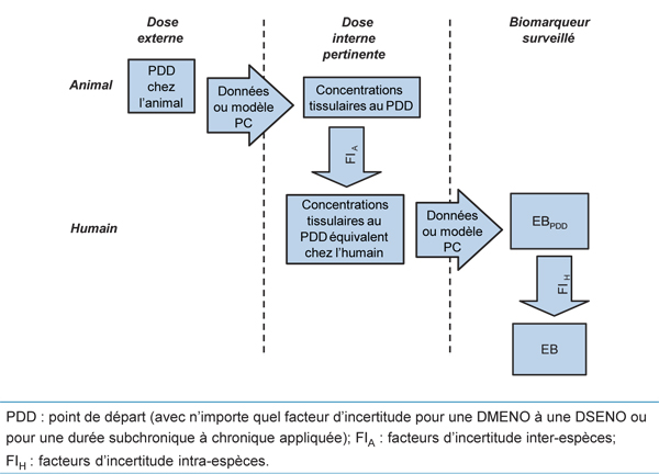 Figure 5. La version textuelle suit.