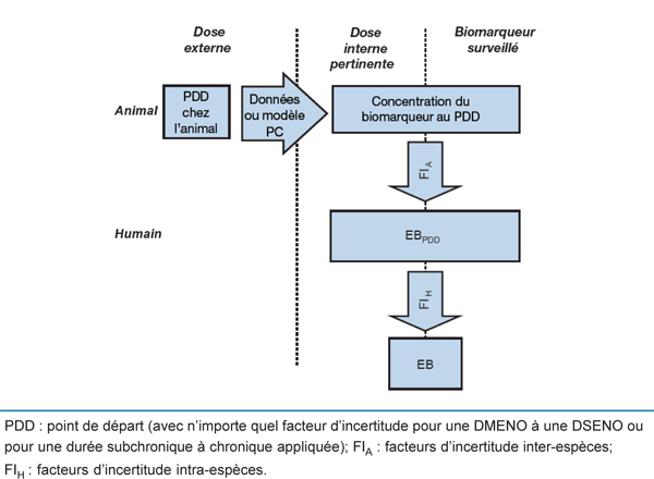 Figure 6. La version textuelle suit.