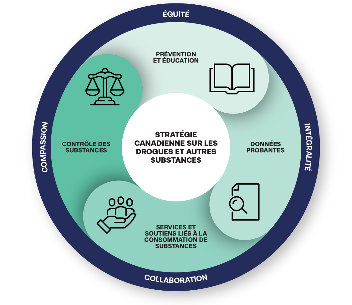 La stratégie canadienne sur les drogues et les autres substances comprend quatre éléments : la prévention et l'éducation, les données probantes, les services et soutiens liés à la consommation de substance et le contrôle des substances. Elle est également équitable, globale, collaborative et compatissante.