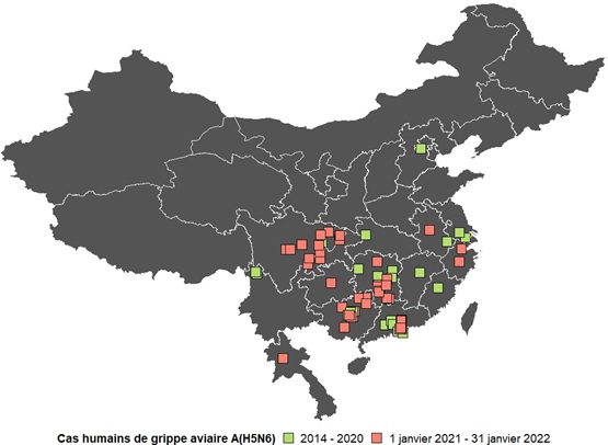 Une carte des cas humains de cas A(H5N6) signalés en Chine et en Laos de 2014 au 31 janvier 2022. Version texte ci-dessous.