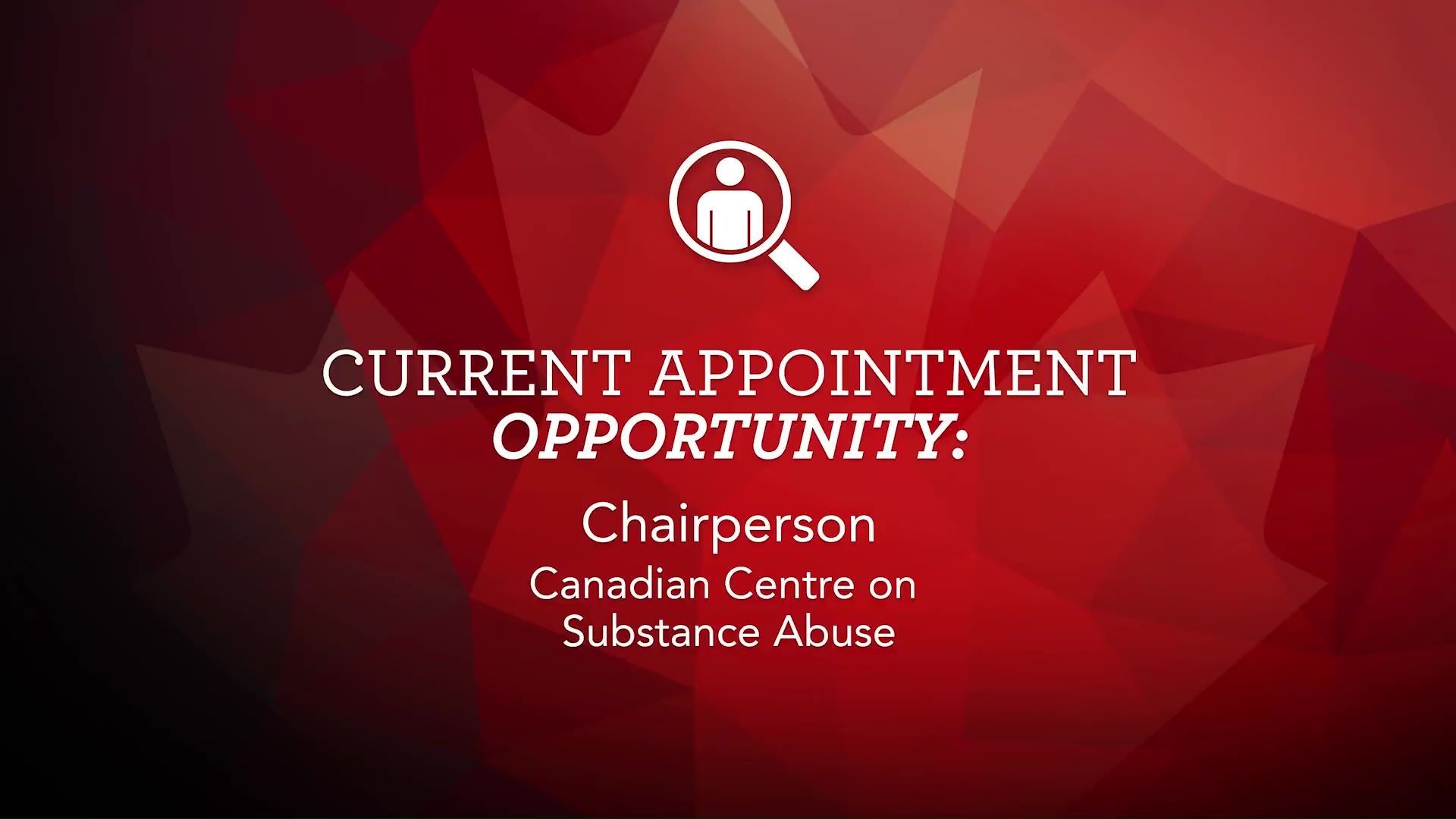 Opportunity: Canadian Centre on Substance Abuse, Chairperson