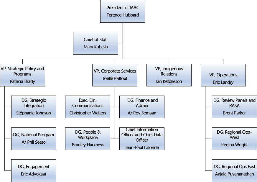 Organizational Structure