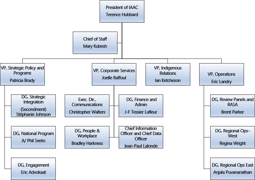Organizational Structure
