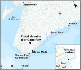 Carte indiquant l’emplacement du projet de mine d’or Cape Ray.