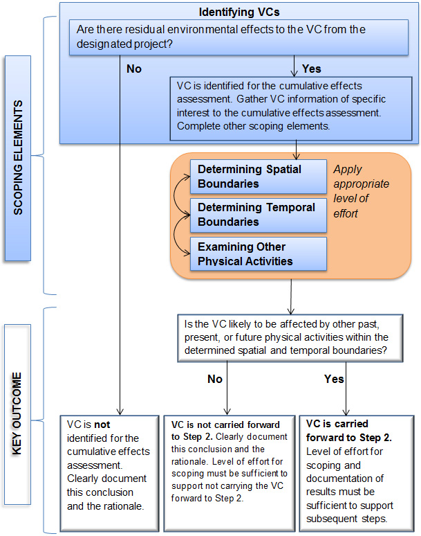 Figure 2 - This figure is a flow chart that summarizes the generic approach to scoping as described in the Methodologies section above.
