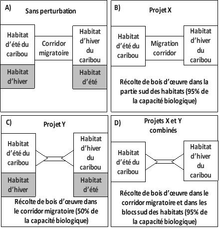 Figure 7. Cette figure illustre les effets environnementaux cumulatifs synergiques pour l'exemple du caribou décrit ci-dessus en illustrant les panneaux A-D.