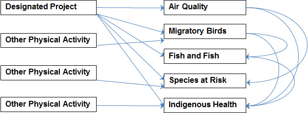Figure 10 - This figure depicts a sample system or network diagram of cumulative environmental effects assessment.