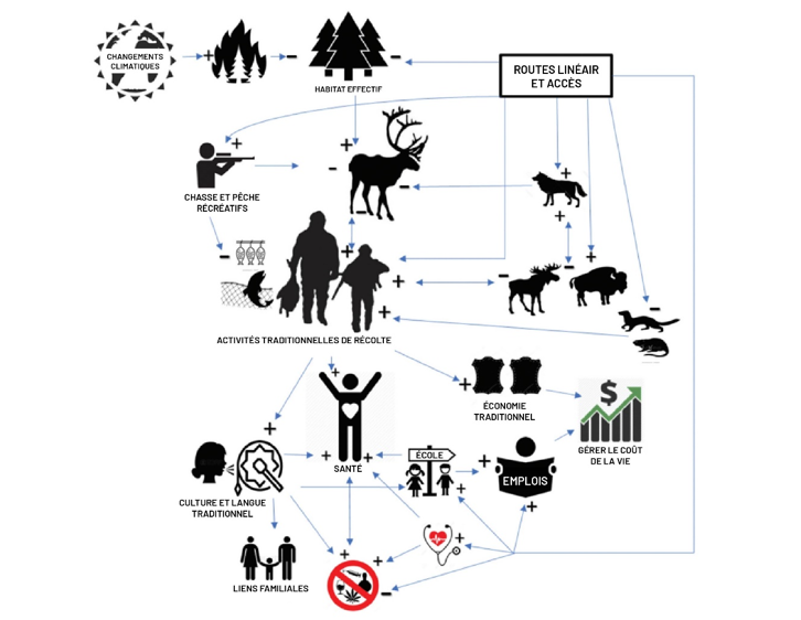 Figure 2 : Illustration d'un système intégré de personnes et de territoire