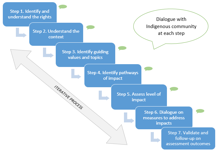 A graphic depiction of the seven step methodology for assessing impact on the rights of Indigenous peoples, which is described in detail below.