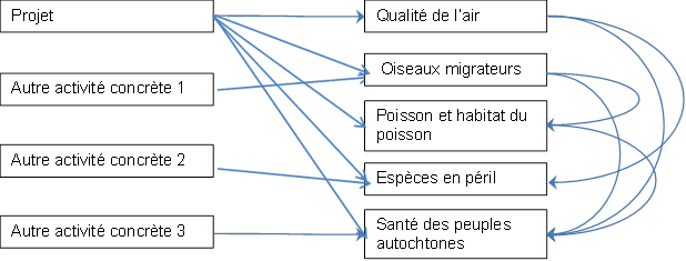 Figure 9: réseau ou système diagramme des effets environnementaux cumulatifs - Description: Ce chiffre représente un système d'échantillon ou schéma de réseau de évaluation des effets cumulatifs sur l'environnement.