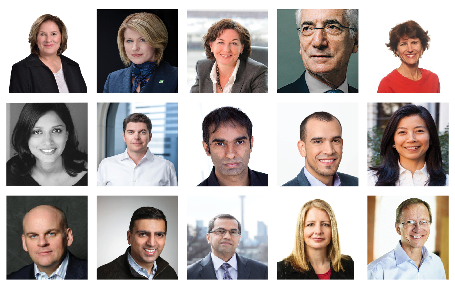 Portraits du comité consultatif d'Impact Canada