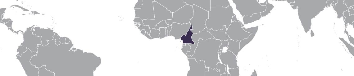A partial world map, with Cameroon highlighted.
