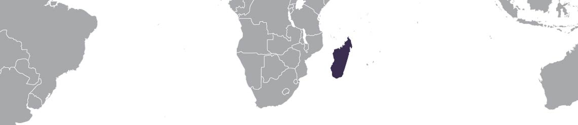 A partial world map, with Madagascar highlighted.