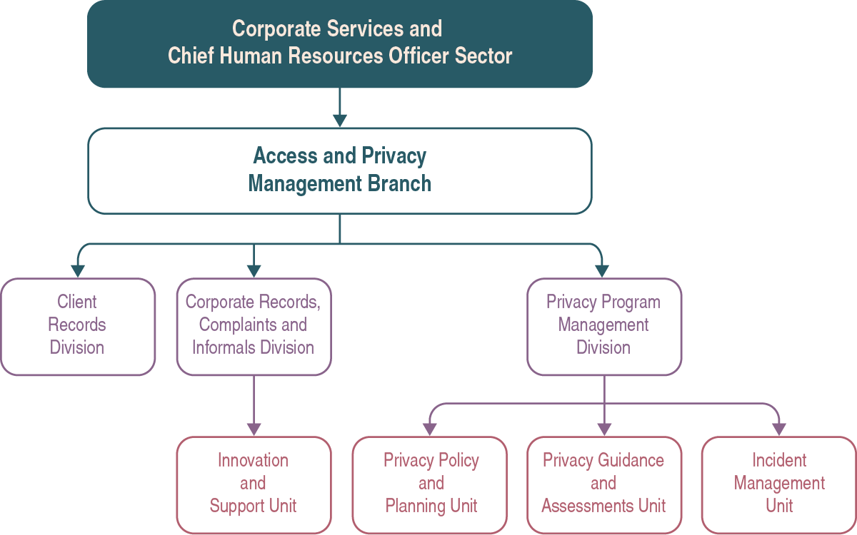 Organizational chart described below.
