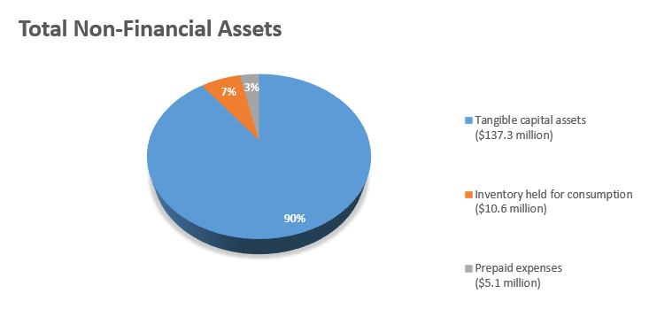 Total Non-Financial Assets