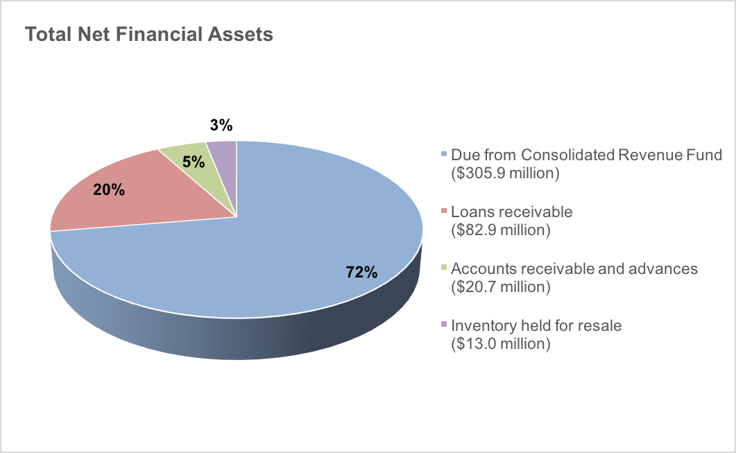Total Net Financial Assets as described below