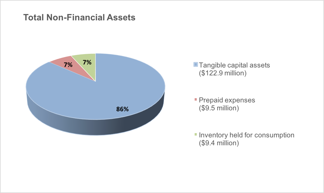 Total Non-Financial Assets as described below