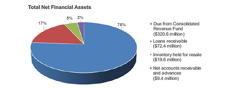 Total net financial assets described below
