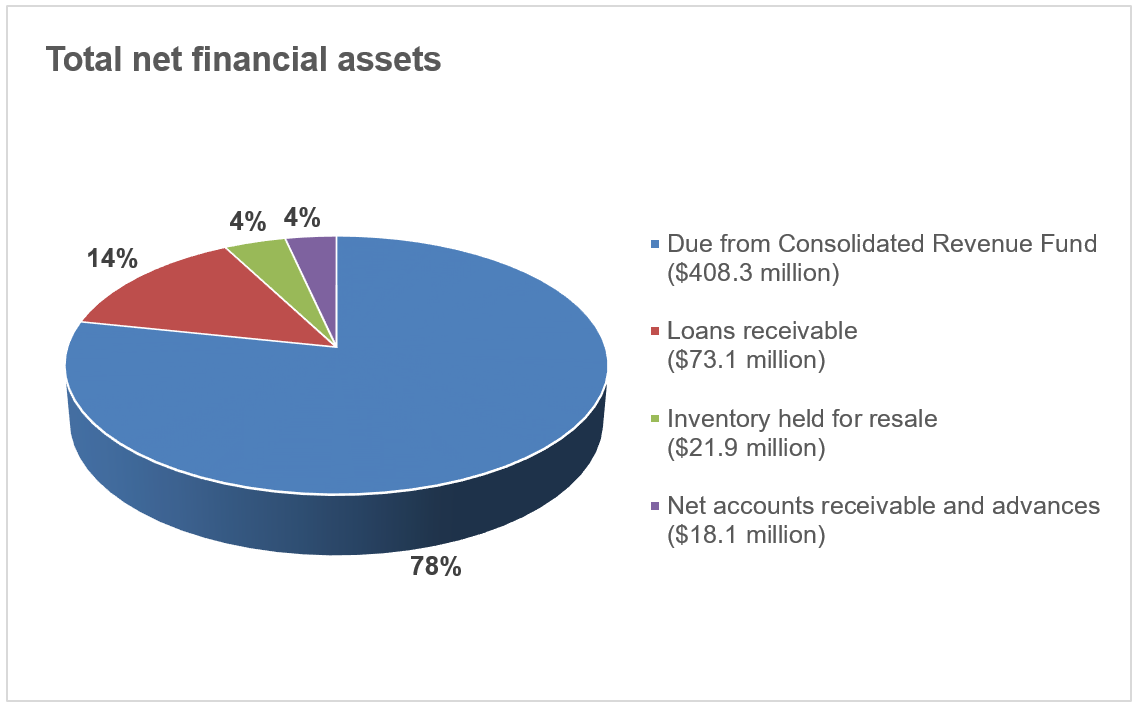 Total net financial assets pie chart described below