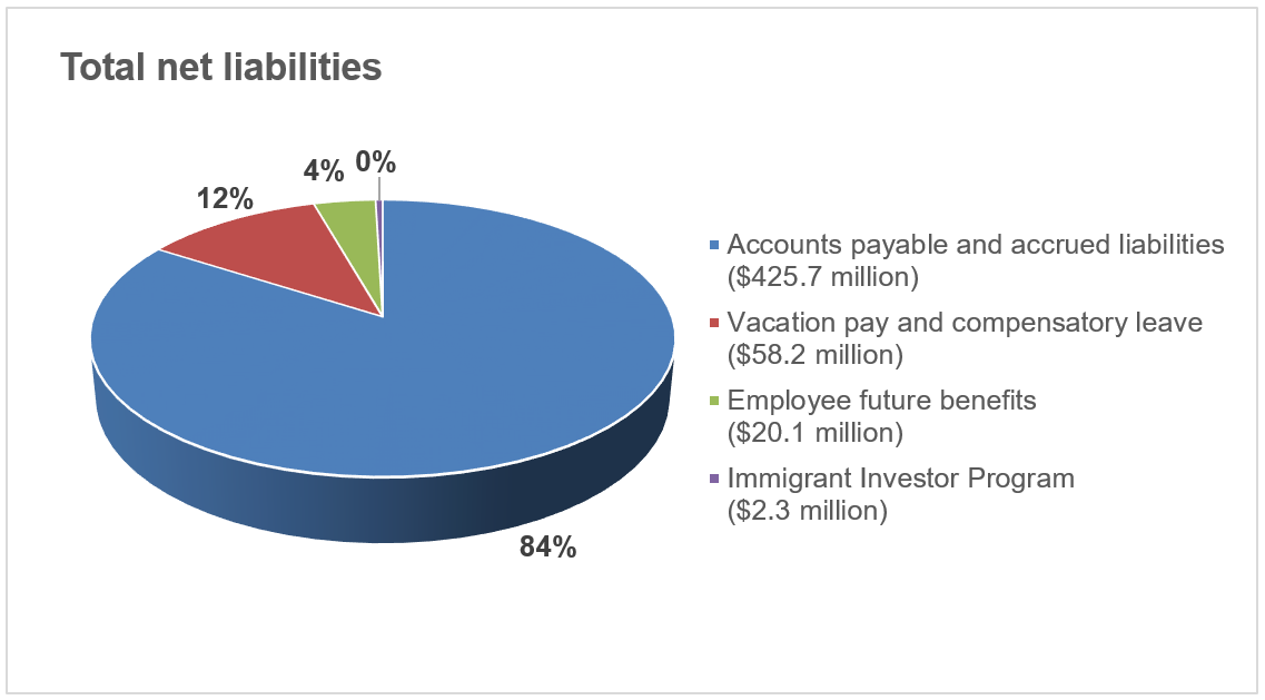 Total net liabilities pie chart described below