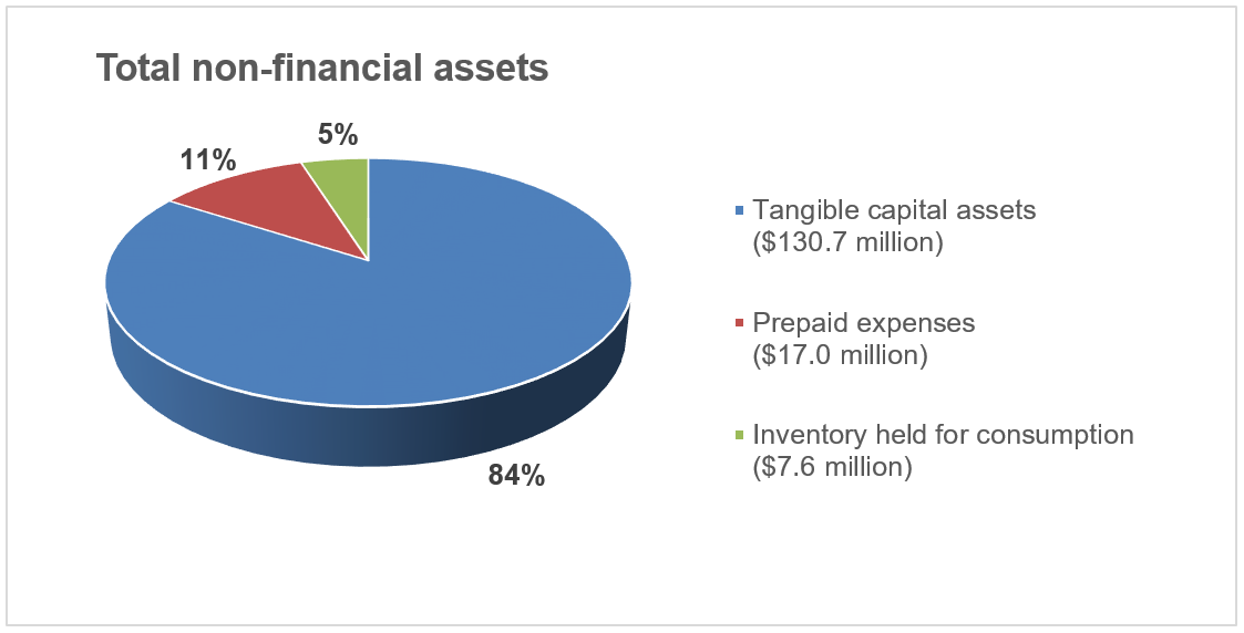 Total non-financial assets pie chart described below