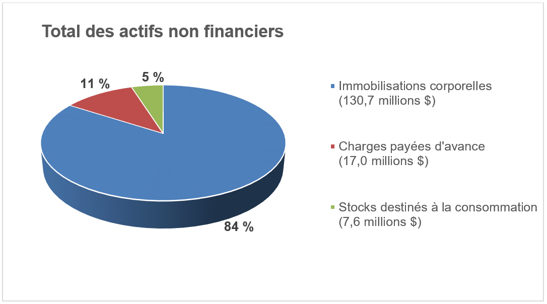 Graphique Total des actifs non financiers décrit ci-dessous