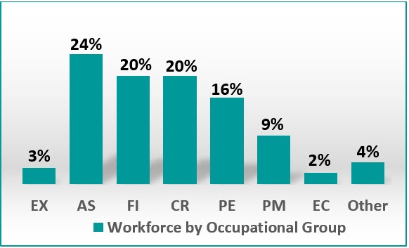 Figure 1: Workforce by Occupational Group. Text version below.