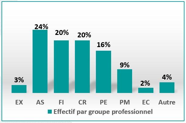 Effectif par groupe professionnel