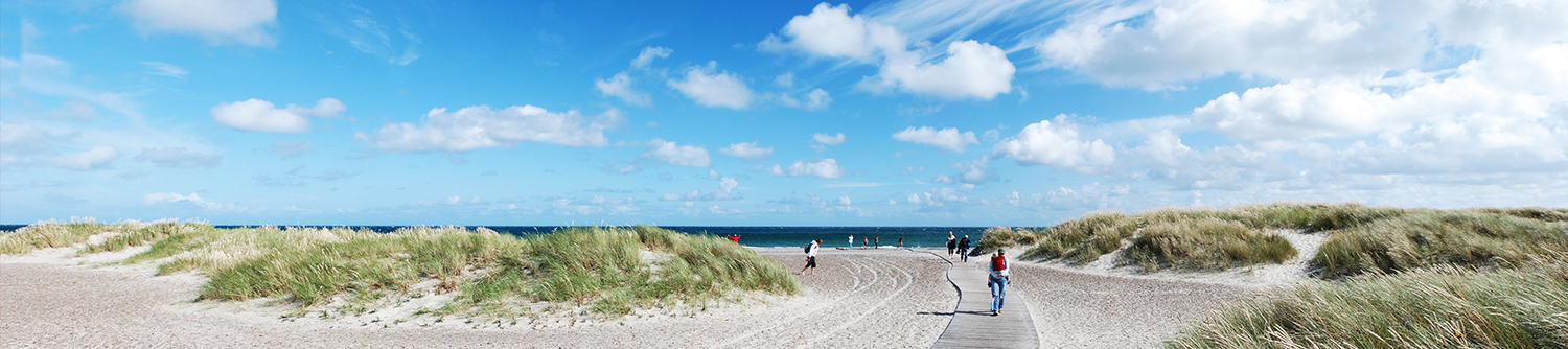 People walking and biking down a boardwalk that leads to the ocean in Denmark.
