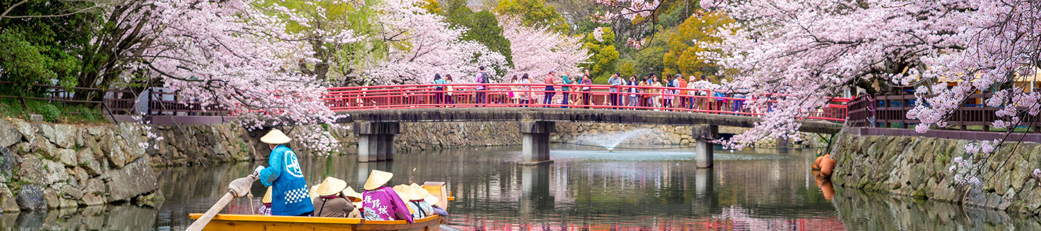 A boat approaching a pedestrian bridge surrounded by cherry blossoms in Japan