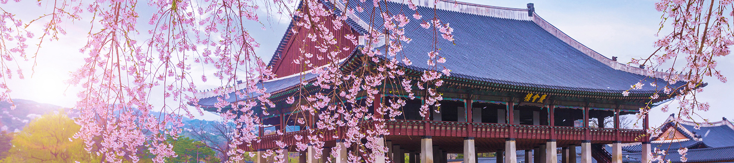 A traditional building on the water surrounded by cherry blossoms in South Korea